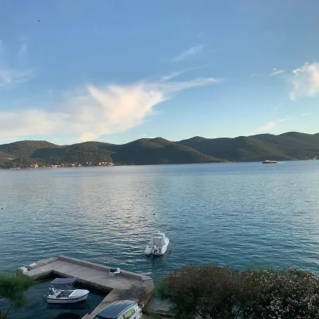 The View